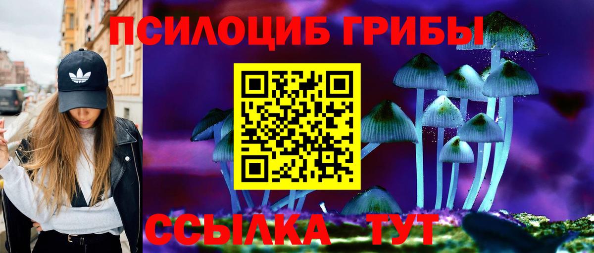 купить закладку  Псилоцибиновые грибы Psilocybe  Вход с VPN  Псилоцибиновые грибы прущие грибы  Тверь 