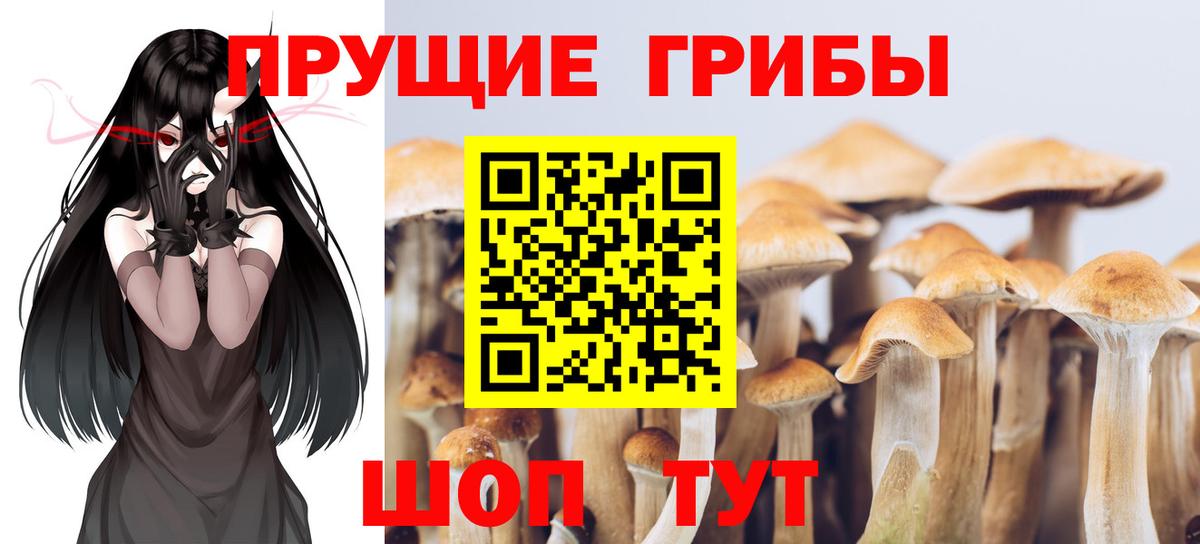 Галлюциногенные грибы мухоморы Тверь